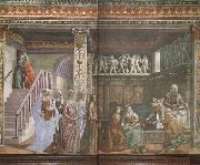 Domenicho Ghirlandaio Geburt Marias oil painting on canvas